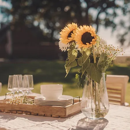Watermark Usedom - Traumhaus Direkt Am Wasser Mit Eigener Badestelle - Haus Woge * Rankwitz